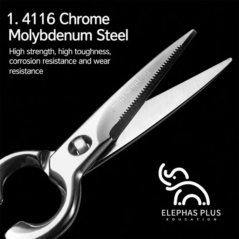 Detachable Kitchen Scissors St - đánh giá và giá Kitchen Hand Gadgets
